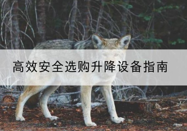 七台河升降货梯厂家推荐-*安全选购升降设备指南