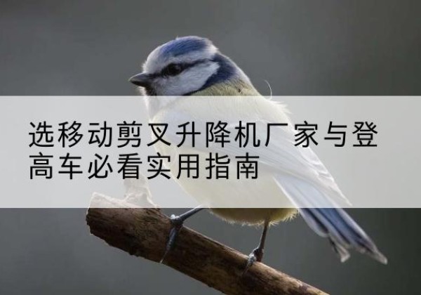 七台河电动升降机厂家-选移动剪叉升降机厂家与登高车必看实用指南