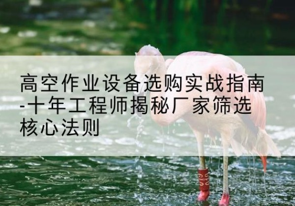 七台河剪叉式升降机厂家-高空作业设备选购实战指南-十年工程师揭秘厂家筛选核心法则